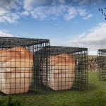 Bread In Captivity