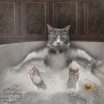 Gremlin Bathtime