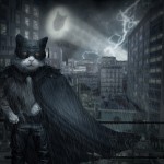Catman