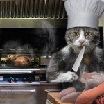 Gremlin Chef