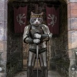 Sir Gremlin Of Catelot