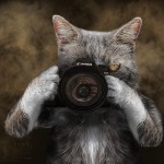 Gremlin Photographer