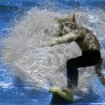 Gremlin Surfer